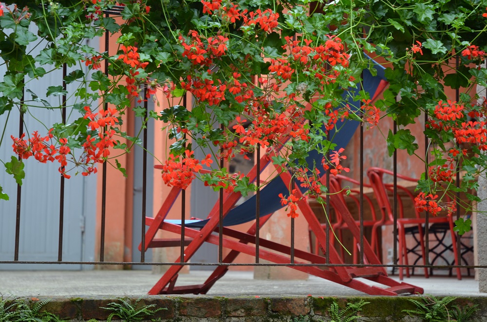 Le stagioni in Fabbrica Saccardo