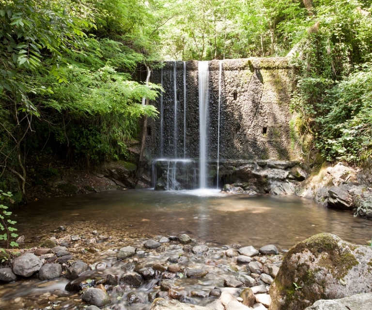 La Fabbrica nel Bosco
