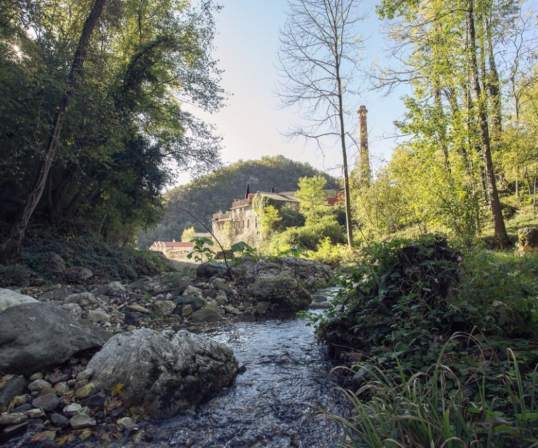 La Fabbrica nel Bosco