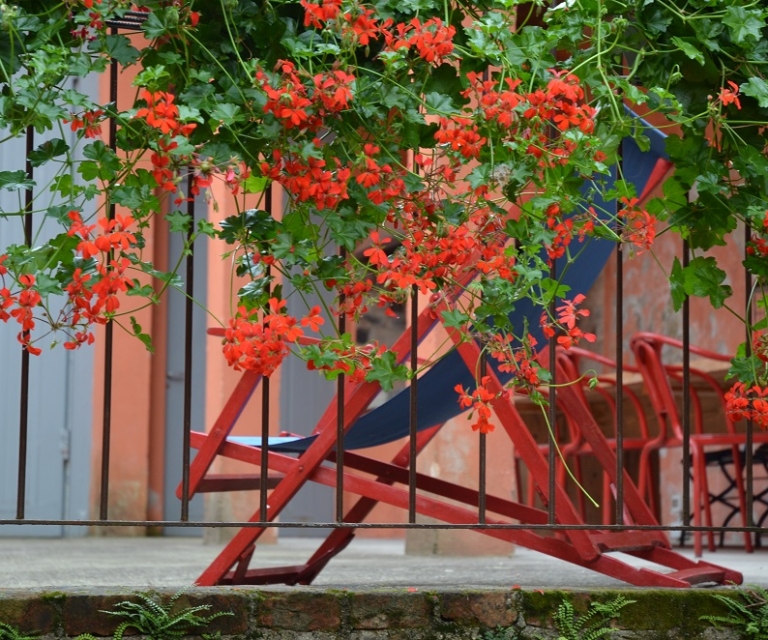 Le stagioni in Fabbrica Saccardo